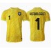 Maillot de foot Pays-Bas Bart Verbruggen #1 Gardien Extérieur vêtements Europe 2024 Manches Courtes